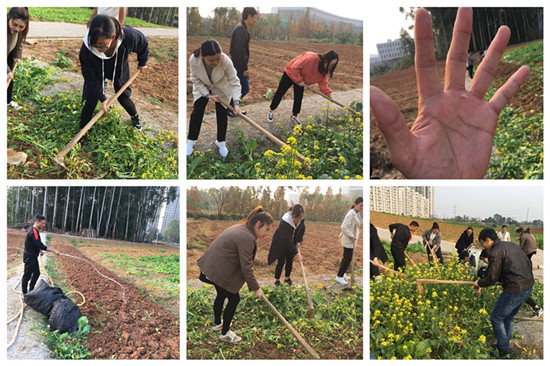 1118农场活动.jpg 1118农场活动.jpg