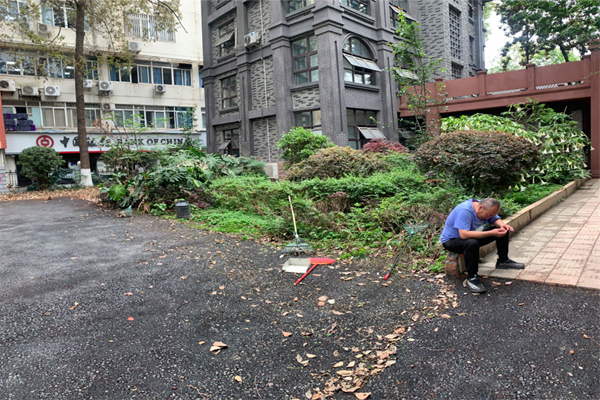 600嘤鸣园1.jpg